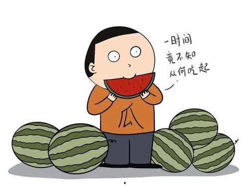 娱乐吃瓜酱英语